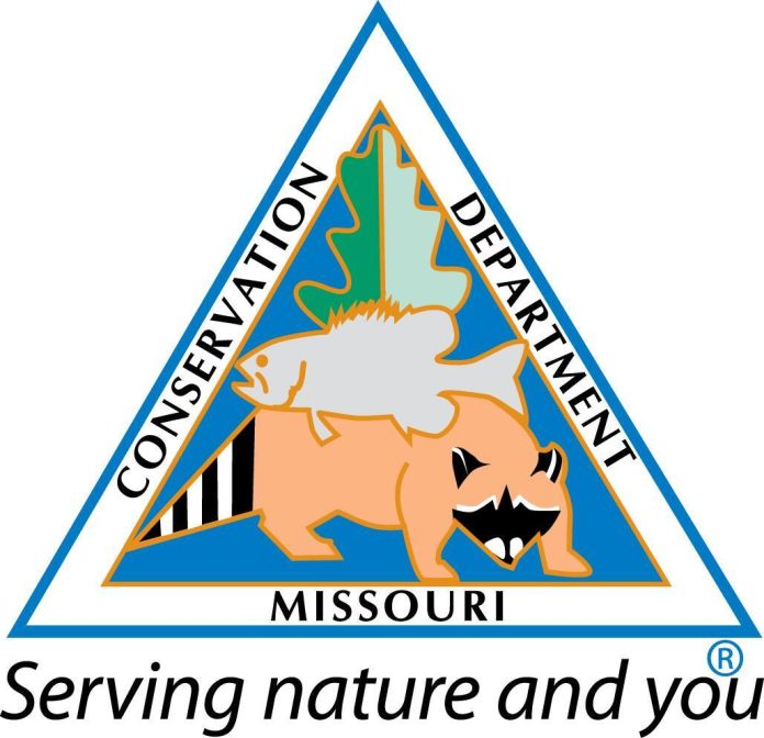 mdc-logo-slogan-color_original