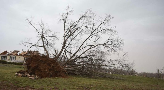 Storm Recovery Continues; Kehoe to Visit Impacted Areas