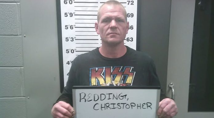 Suspect Arrested for Burglary, Firearm Theft, and Drug Possession in Ava