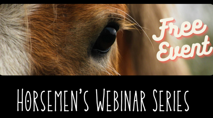 MU Extension Offers Free Webinar Series for Horse Owners