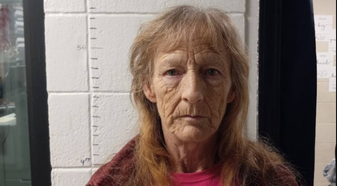 Felony Arrest Made in Shannon County Following Shots Fired Report