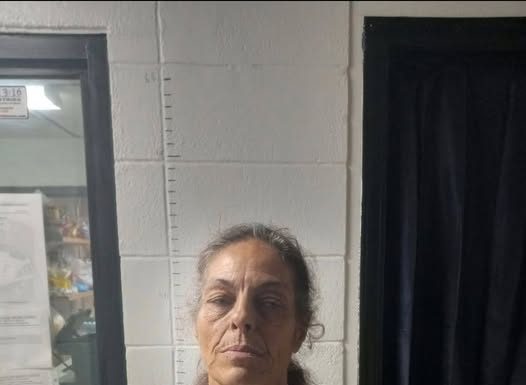 Shannon County Sherriff’s Department Makes Arrest