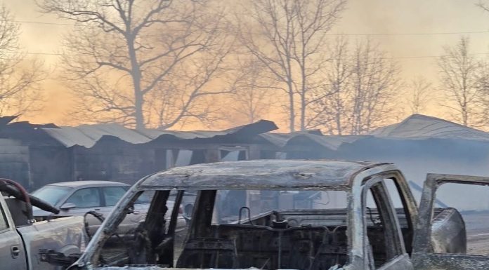 MDC staff fought more than 80 wildfires around Missouri last week