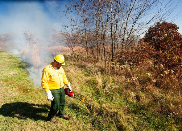 prescribedfire_crop (1)