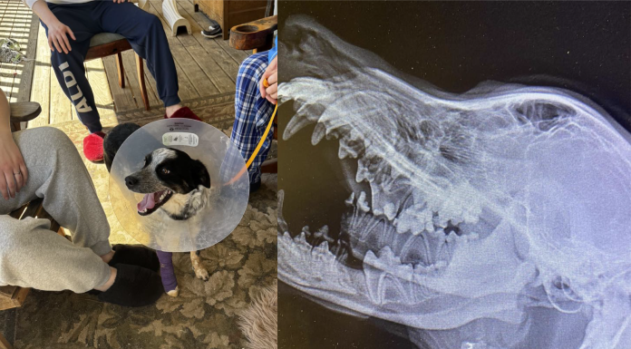 Dose of Goodness: Saved by a Community: Porter’s Journey to Recovery