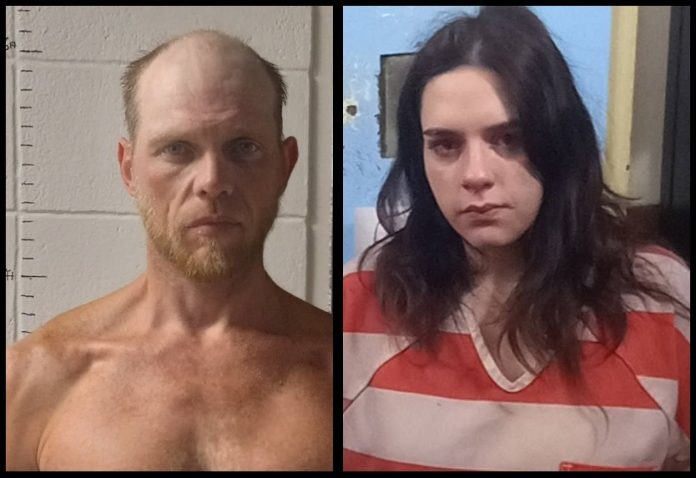 Williamson Arrest