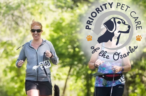 22nd Annual Fundraising Dog Jog 5K and 1-Mile Fun Run/Walk Set for June 7 at Galloway Park