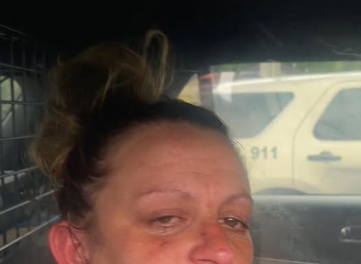 Mountain View Woman Charged With Assault on a Juvenile