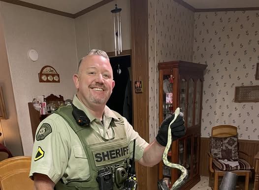 When To Protect and Serve Takes on a Whole New Meaning