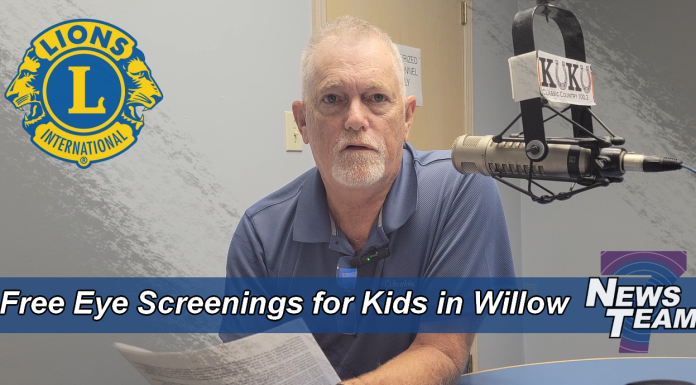 Willow Springs Lions Club Hosts Upcoming Free Kids Vision Screening