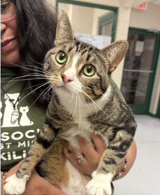 Featured Pet of the Day- Alana
