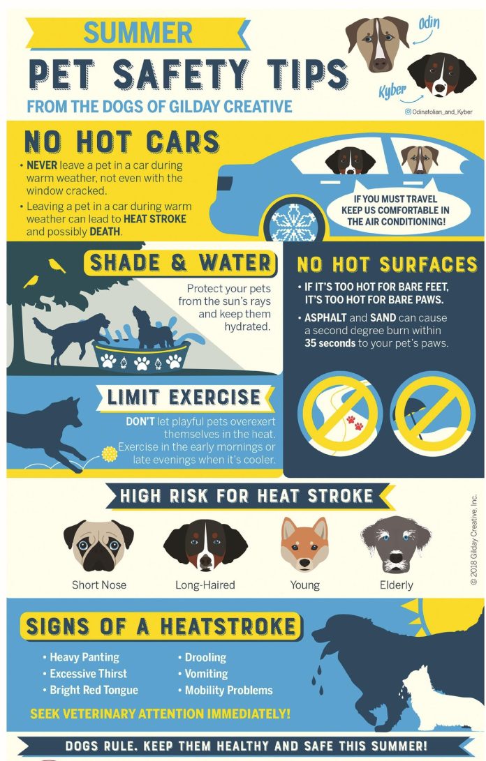 pet banner