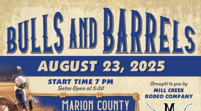 Bulls and Barrels Returns to Summit for a Night of Fun