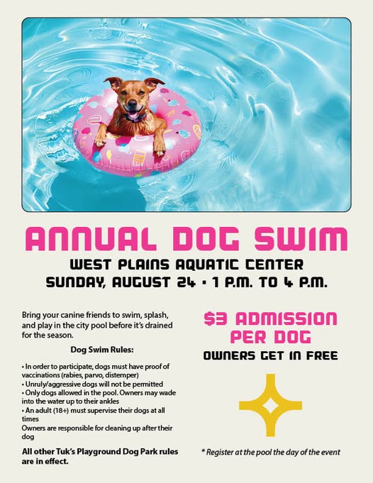 Dog Swim