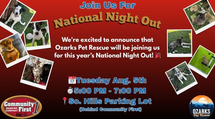 National Night Out in West Plains