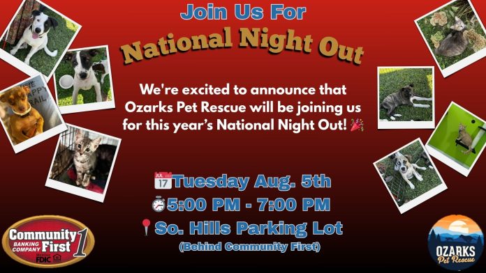 NNO (2) (002)