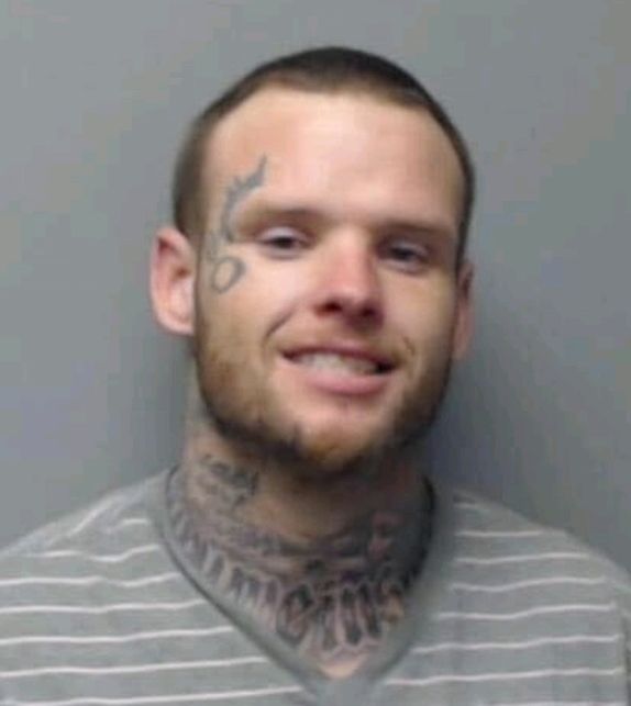 Stephen Whaples
