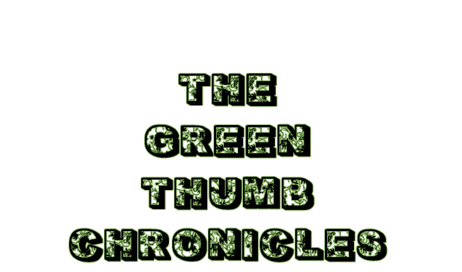The Green Thumb Chronicles: Confessions of a Former Grey Thumb – September 4, 2025