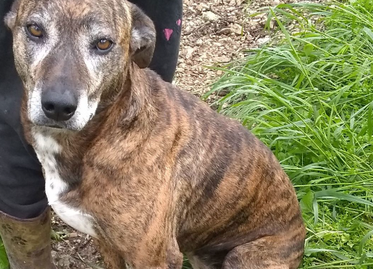 Featured Pet of The Day-Babe