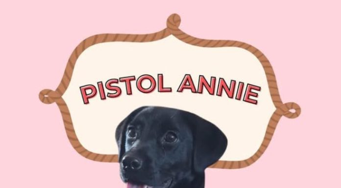 Featured Pet of The Day-Pistol Annie