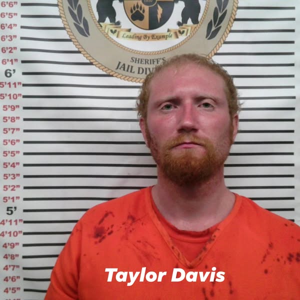 Taylor davis
