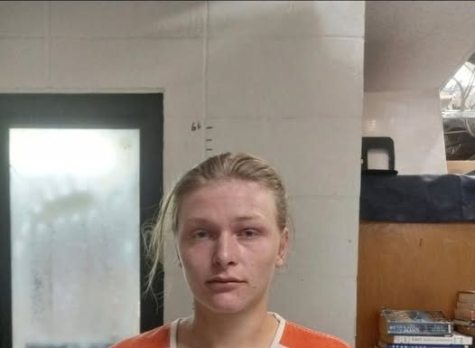 Arrest Warrant Issued Following Vehicle Theft and High-Speed Pursuit