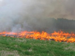 Multiple Fires Break Out Across Listening Area