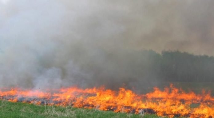 Increase Fire Danger in the Ozarks Today