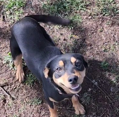 Featured Pet of The Day- Princess