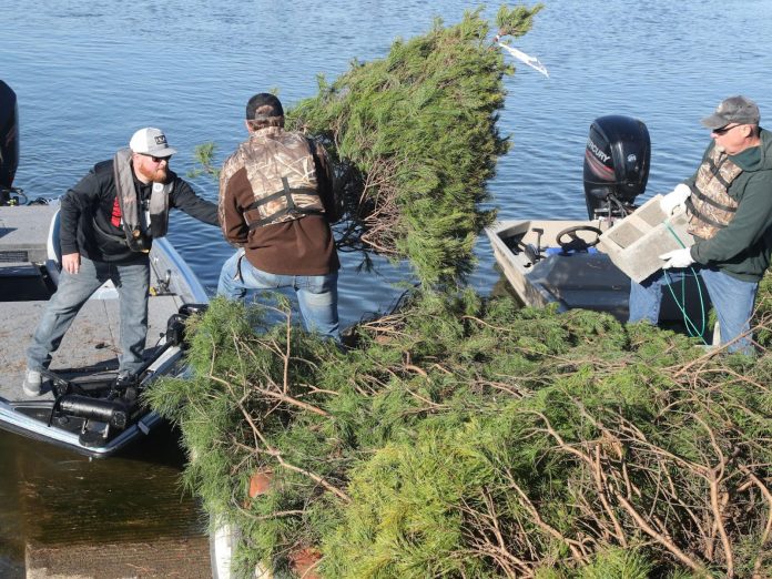 MEN-LOADING-TREES-INTO-BOATS