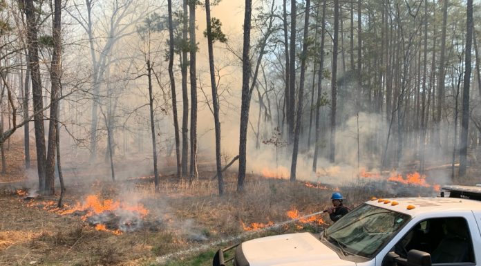 National Park Services Setting Up Prescribed Burns for December, March