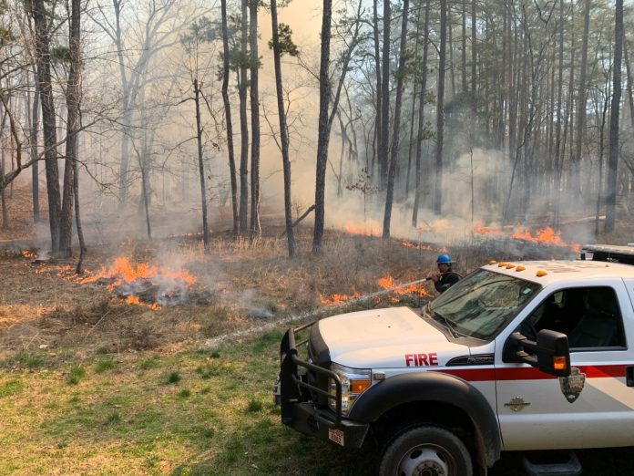 Prescribed Fires