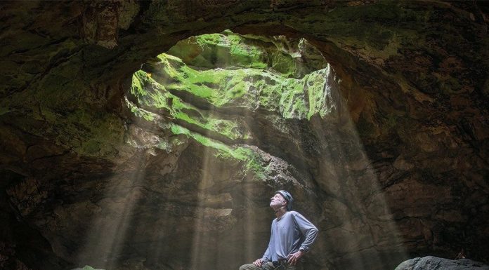 Baxter County Library to Host Nature Photographer Tim Ernst Next Weekend