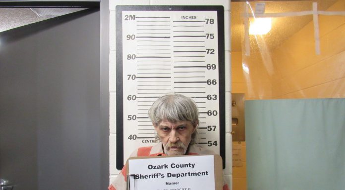 Warrant Service Leads to Arrest in Theodosia