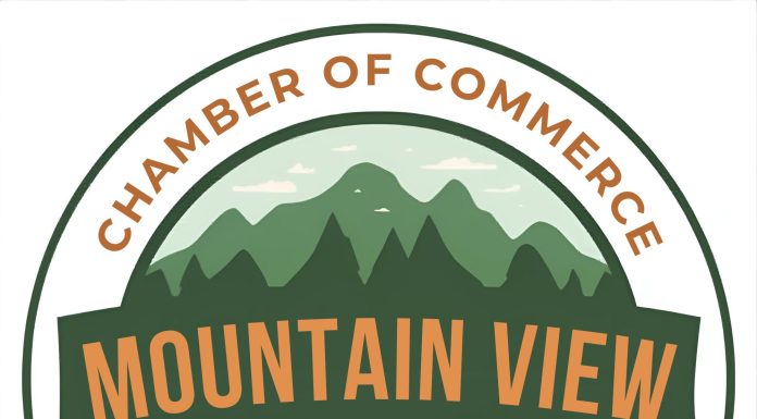 Spring Vendor Market Brings Local Businesses Together in Mountain View