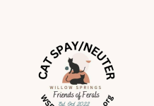 Willow Springs Friends of Ferals Update