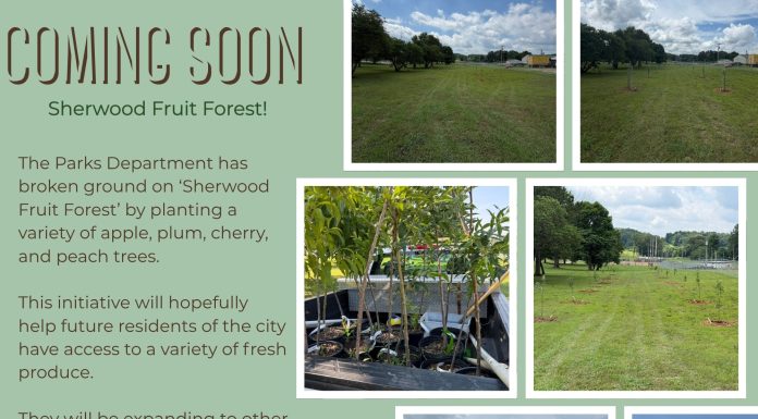 City of Thayer Begins “Sherwood Fruit Forest” Project