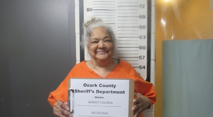 Bakersfield woman arrested on active felony warrant