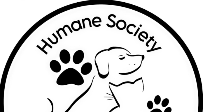 Humane Society of North Central Arkansas Will Host Adoption Event At Petco In Mountain Home, Saturday, June 7th