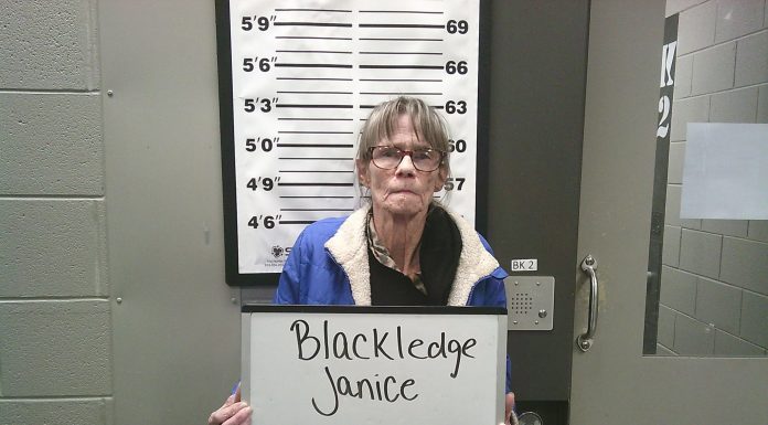 Seymour woman remanded to custody after Douglas County court appearance