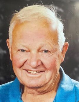 Donald H. Luerssen