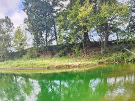 Middle Fork Access Green Water Thought to be Dye or Algae