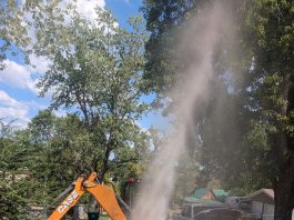 Mammoth Spring Water Leak Located