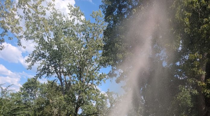 Mammoth Spring Water Leak Located
