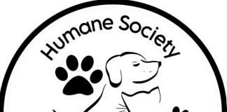 Humane Society of North Central To Host Monthly Pet Fair at Petco in Mountain Home; This Saturday, September 5th.
