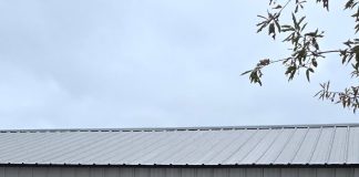 Sparta Persimmon Days offers two days of fun