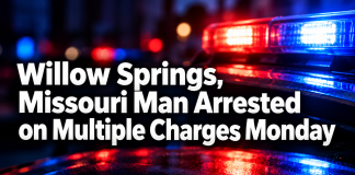 Willow Springs Man Arrested on Multiple Charges Monday