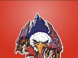 Liberty sweeps Houston Tigers 40-0