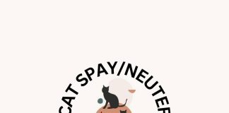 Celebrating Four Years of Friends of Ferals
