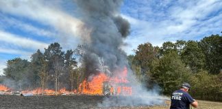 Fire Destroys Structure in Lanton